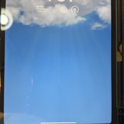 iPad Pro 11 Inch (4th Gen) 256gb WiFi And Cellular 