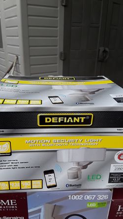 Motion security light