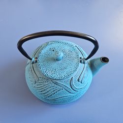 Cast Iron Teapot