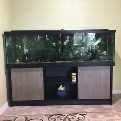Petsmart 125 clearance gallon fish tank