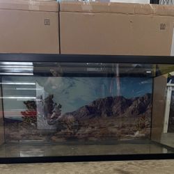 Fish Tank 