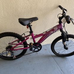 Young Girls Diamondback Tess 20 “ Mountain Bike