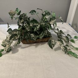 Fake Vine Plant in Woven Basket - $15