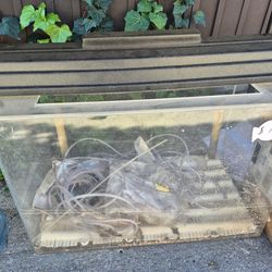 20 gallon Acrylic fish tank and light