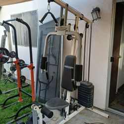 Gym Equipment 