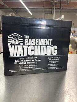 Basement Watchdog Standby Battery