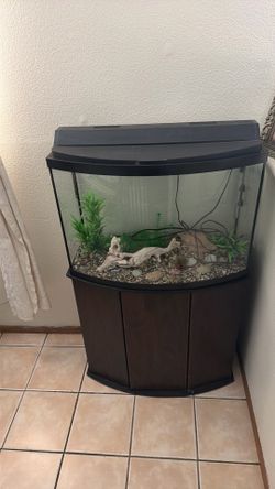 Fish tank standard 36-gallon
