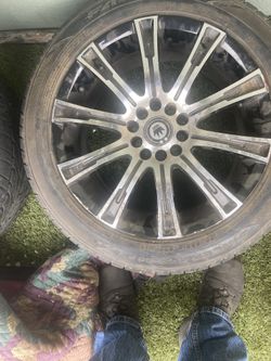 Rines Koning 16”
