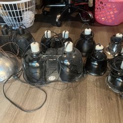 Reptile Heat lamps 