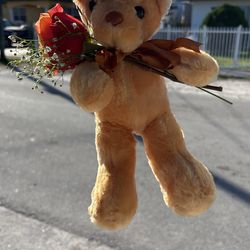 Valentine’s Day teddy bear and Rose