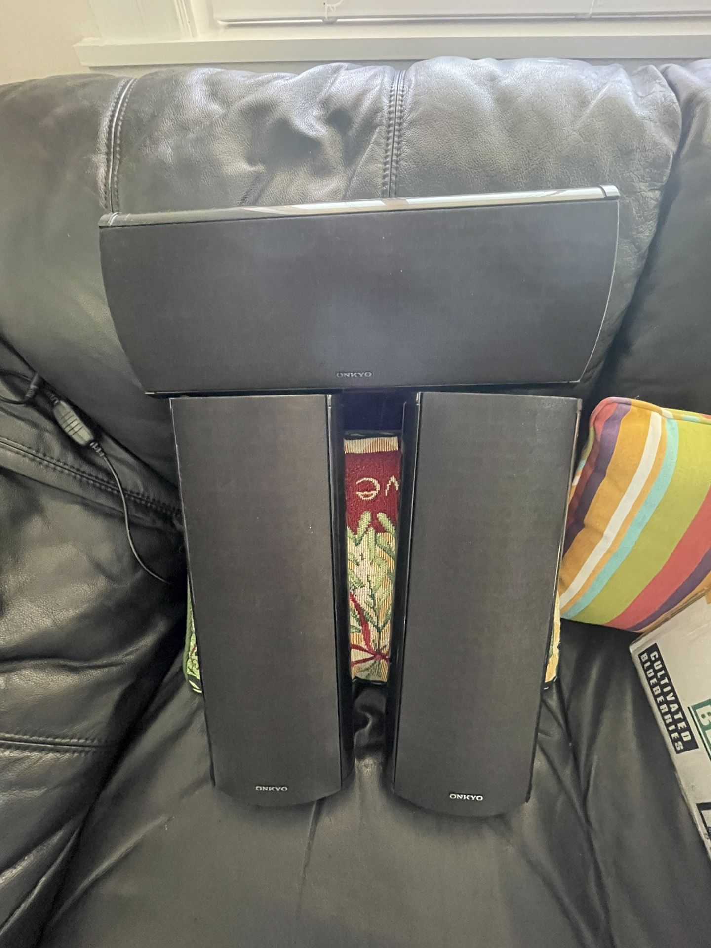 Onkyo Speaker 8 Ohm