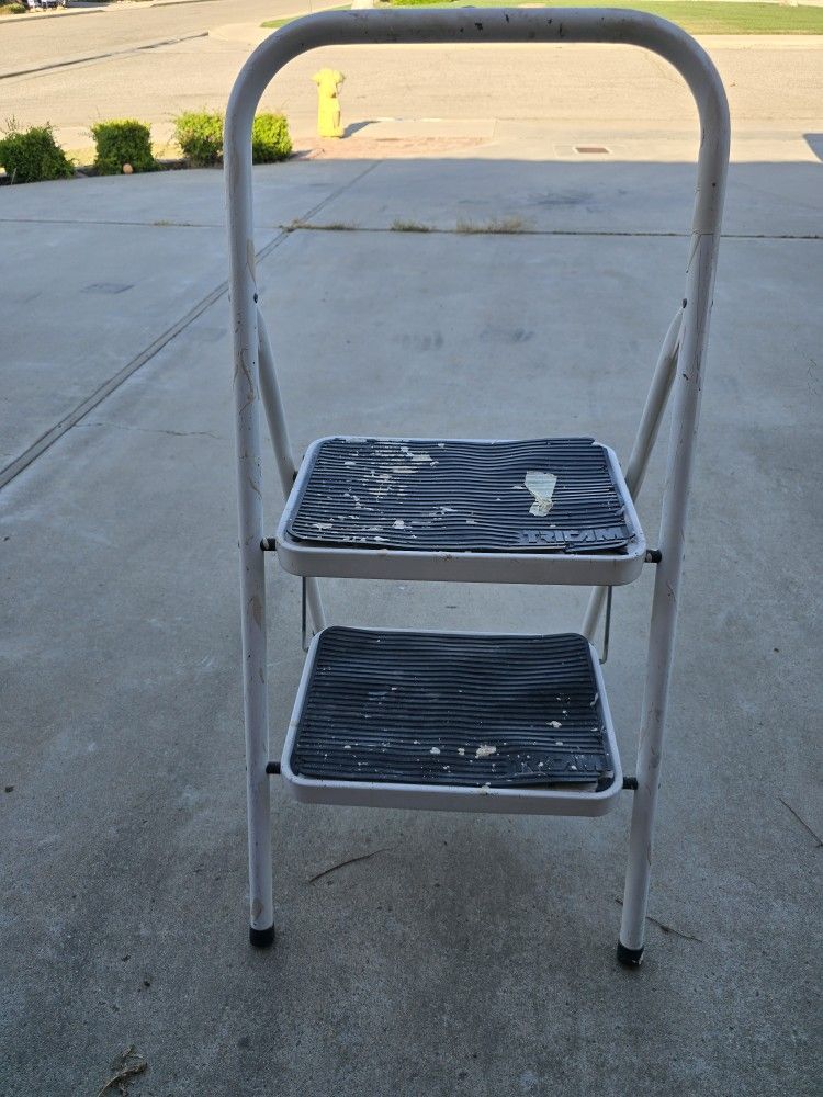 Two-Step Ladder