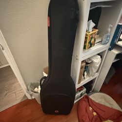 Road Runner Bass Case 