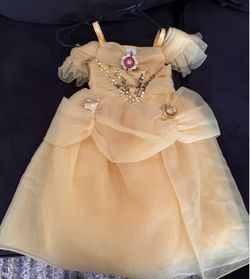 Princess Belle costume
