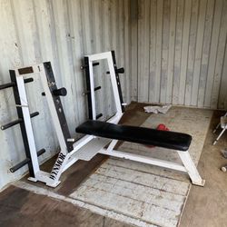 Commercial Bench Press 