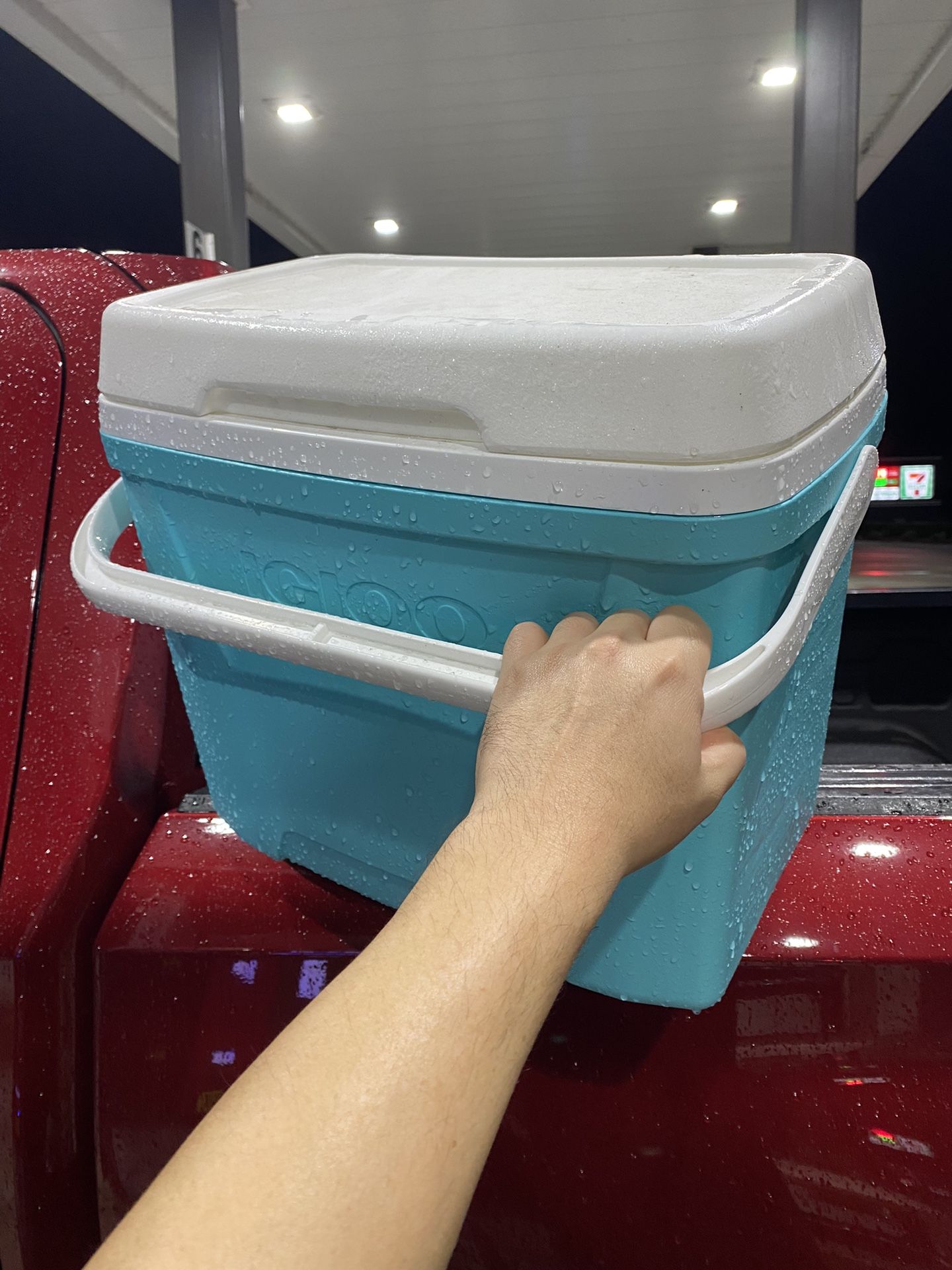 Igloo Cooler