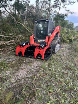 Bobcat Work