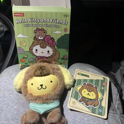 Miniso Hello Kitty x Capybara