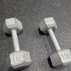15lb Dumbbells - Pair