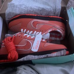 Orange Lobster Sb Ds 