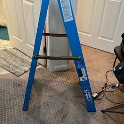 4ft Ladder 