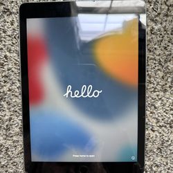 Apple iPad 10” screen