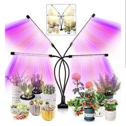 Growing Light For Indoor Plants