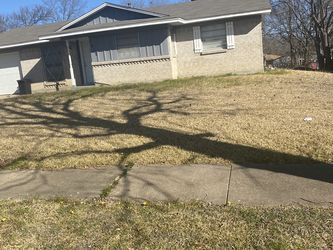 Leaves Removed Mow Trim Edge