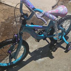Little Girls Bike Blue