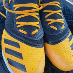 Brand New Baseball Adidas Shoes