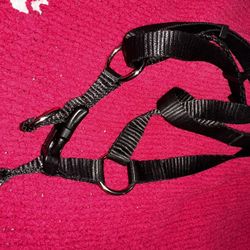 Dog Leash Vest