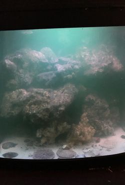 Biocube with live rock and sand