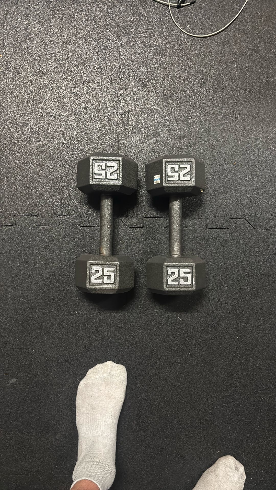 25lbs dumbbell set