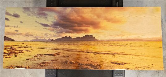 Huge 5' x 2' Epoxy Print on Wooden Canvas