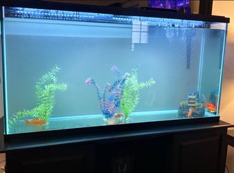 ' 55 Gallon Fish Tank - BRAND NEW in Box