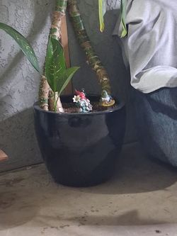 Flower pot