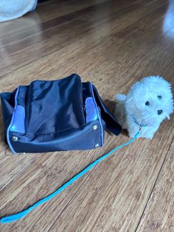 American girl doll Coco & travel case