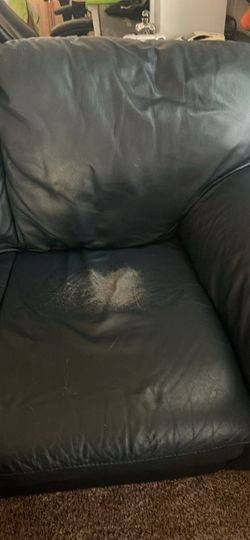 Free Leather Couch
