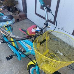 Margarita-ville 7 Speed Beach Cruiser 