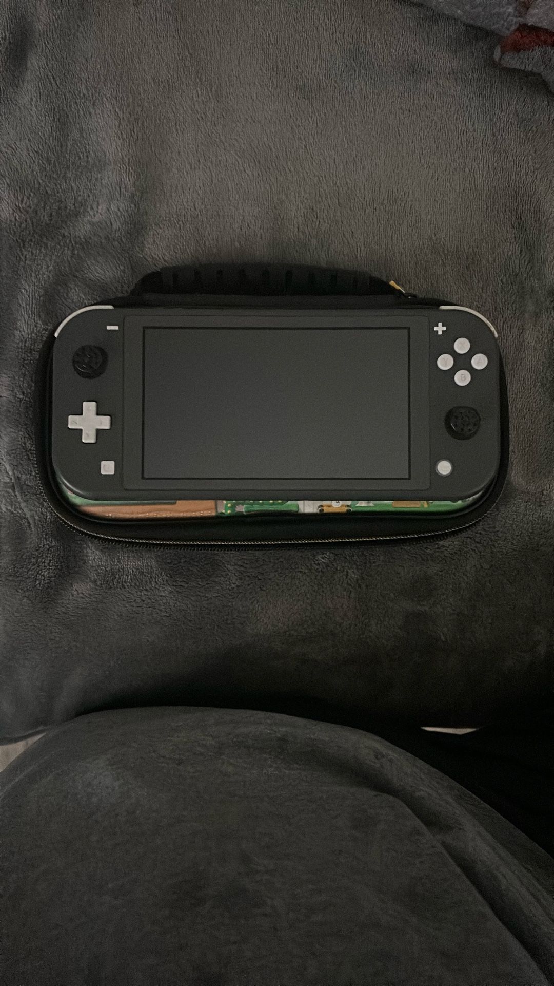 Used Nintendo Switch Lite