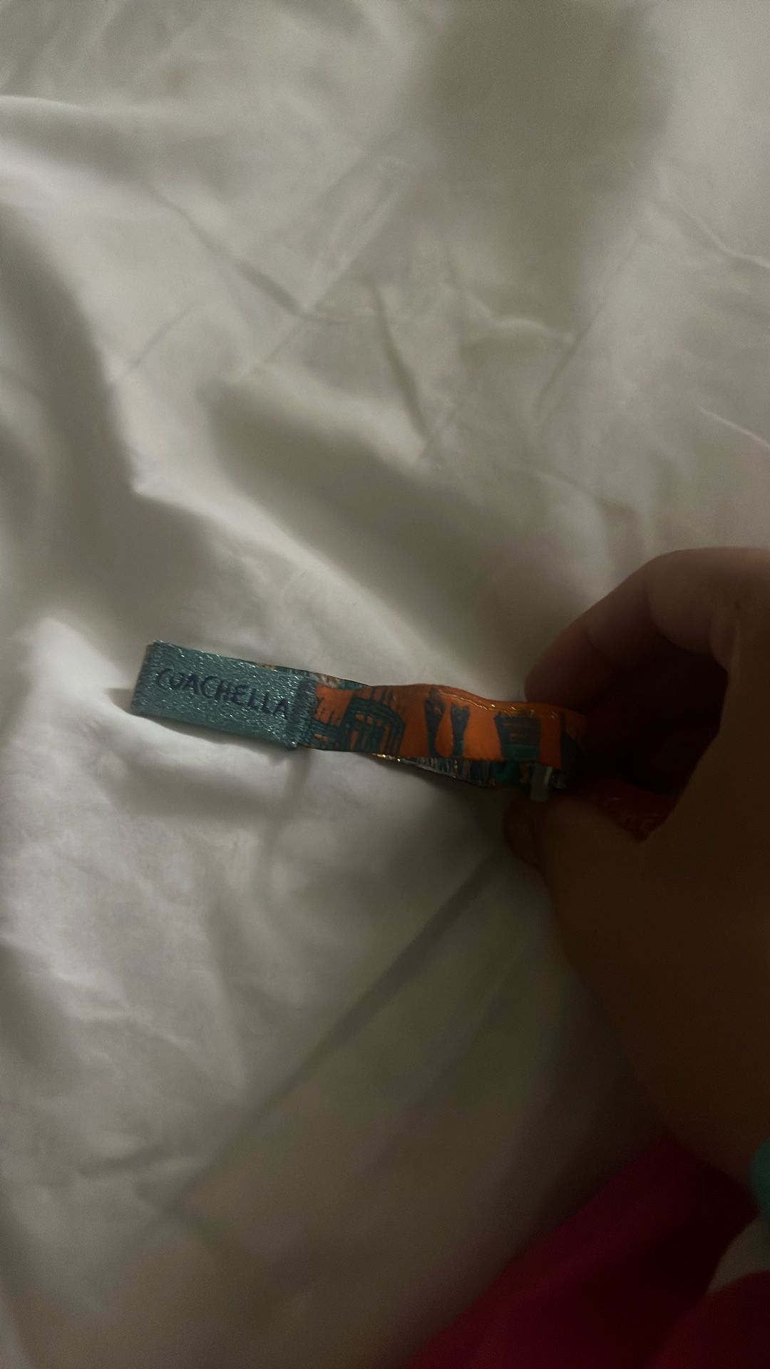 Coachella weekend One. (Sunday Pass)