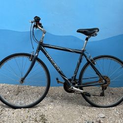 TREK BIKE