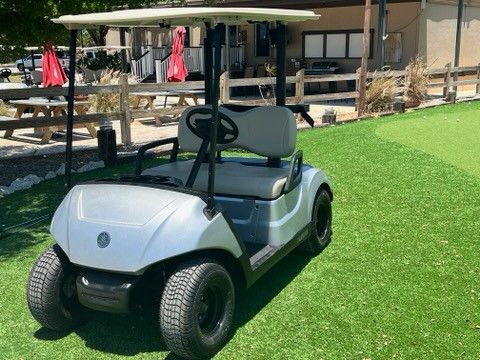 2019 Yamaha Golf Cart 