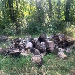 Firewood