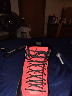 Jordan Reverse Flu Game 12s 