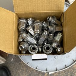 OEM Toyota Lug Nuts