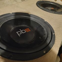 Power Bass 12 Inch Subwoofer 
