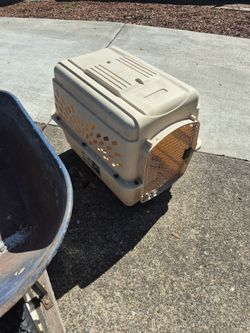 Dog Kennel