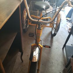 Adult Tricycle