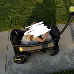 Veer Cruiser Wagon + Basecamp + Accessories (Over $1,200 New) – $675 OBO